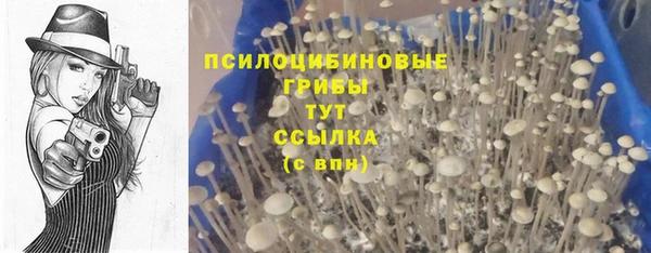 ECSTASY Алексин