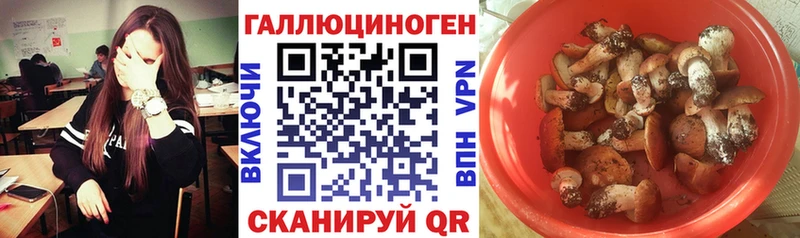 Галлюциногенные грибы Psilocybe  наркота  Владимир 
